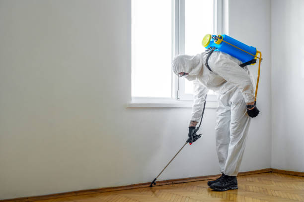 Best Residential Pest Control  in Inkerman, PA